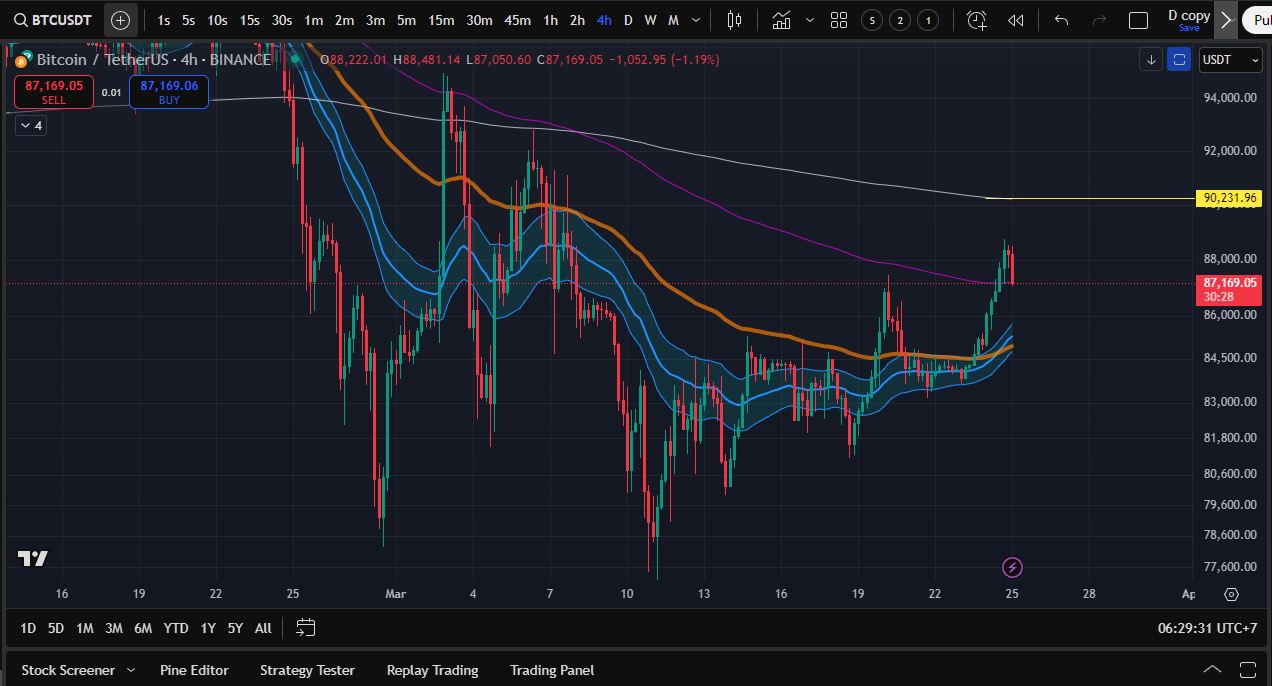 Biểu đồ giá bitcoin hiện tại trên tradingview