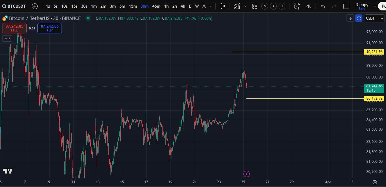 Biểu đồ giá bitcoin trên khung 30 phút của tradingview